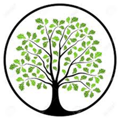 Oak Education Logo